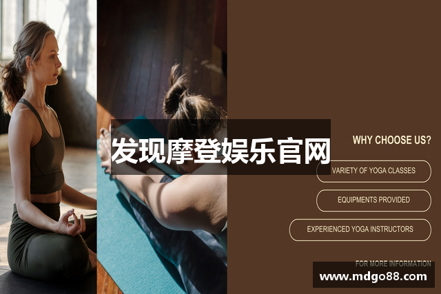 发现摩登娱乐官网