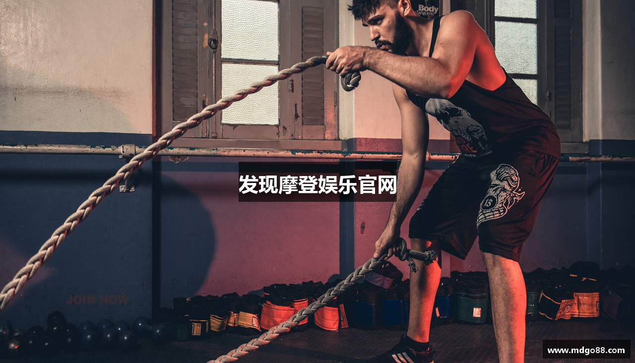 发现摩登娱乐官网